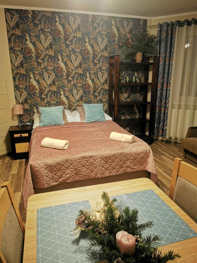 Apartament Przy Stoku Wilcza كارباش المظهر الخارجي الصورة
